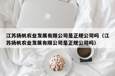 江苏扬帆服饰 深耕针纺织品领域的专业供应商